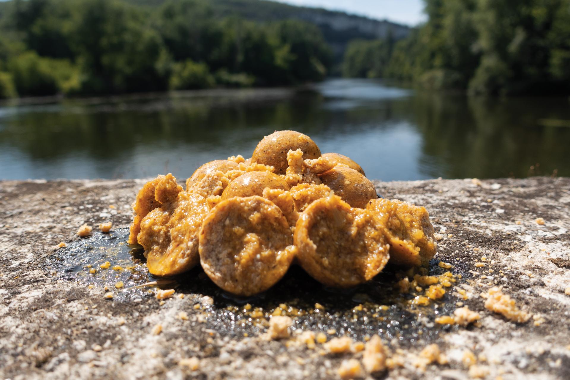 Appât. Aventures des pirates de la carpe.