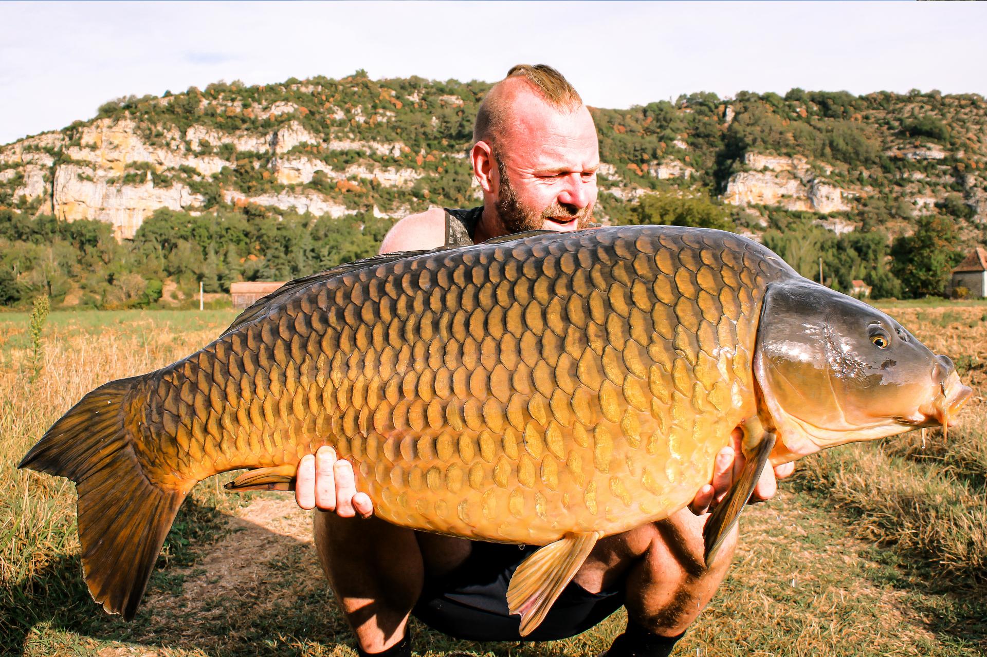 Le poisson. Aventures des pirates de la carpe.