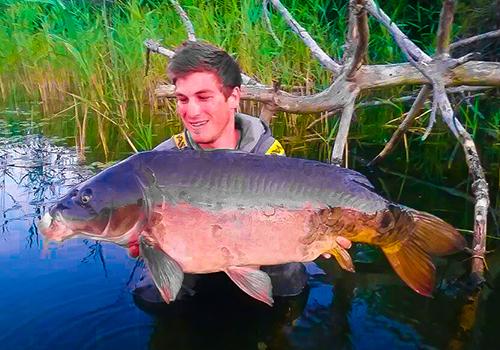 THE FISH - CARP PIRATES ADVENTURES -  The ultimate wild fishing adventure.