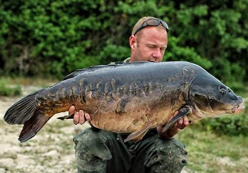 THE FISH - CARP PIRATES ADVENTURES -  The ultimate wild fishing adventure.