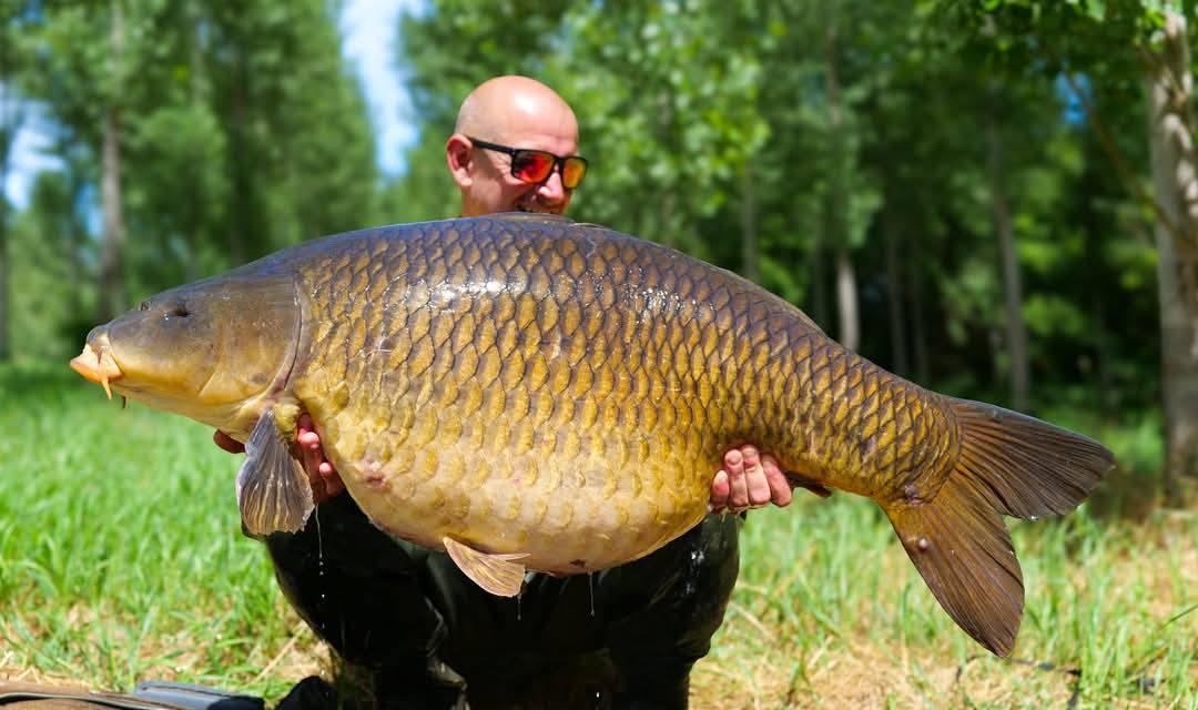 THE FISH - CARP PIRATES ADVENTURES -  The ultimate wild fishing adventure.