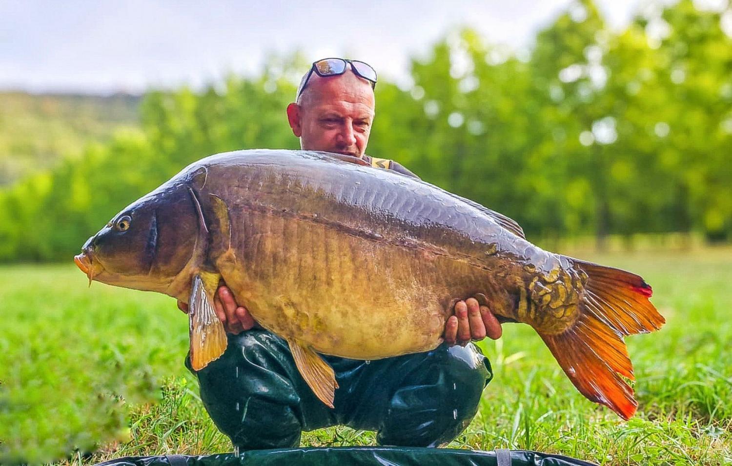 THE FISH - CARP PIRATES ADVENTURES -  The ultimate wild fishing adventure.